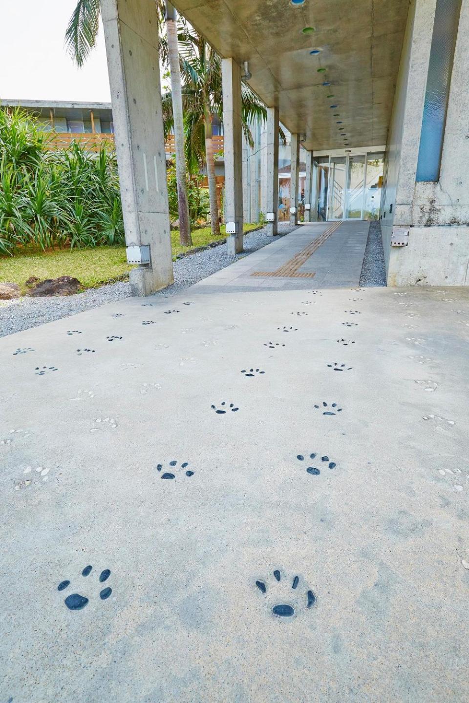 Iriomotejima-Jungle Hotel Painumaya Takana Экстерьер фото